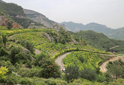 哪些措施能够实现废弃矿山生态修复