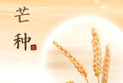 中环建生态：芒种时节，播种绿色希望