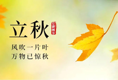 中环建生态地灾甲级公司：立秋·共绘