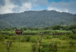 中环建生态：筑牢地质灾害防线，引领生