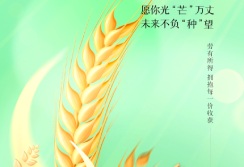 中环建生态环境设计芒种时节话安全:筑牢生态根基,中环建生态守护山河无恙图